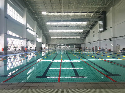 泳池水處理,泳池除藻劑